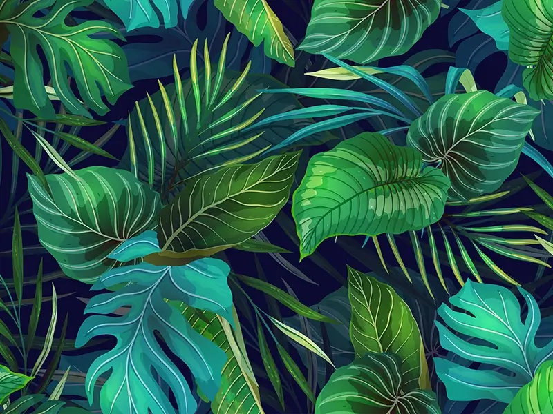 Botanischer Dschungel Fototapete - Inspiration