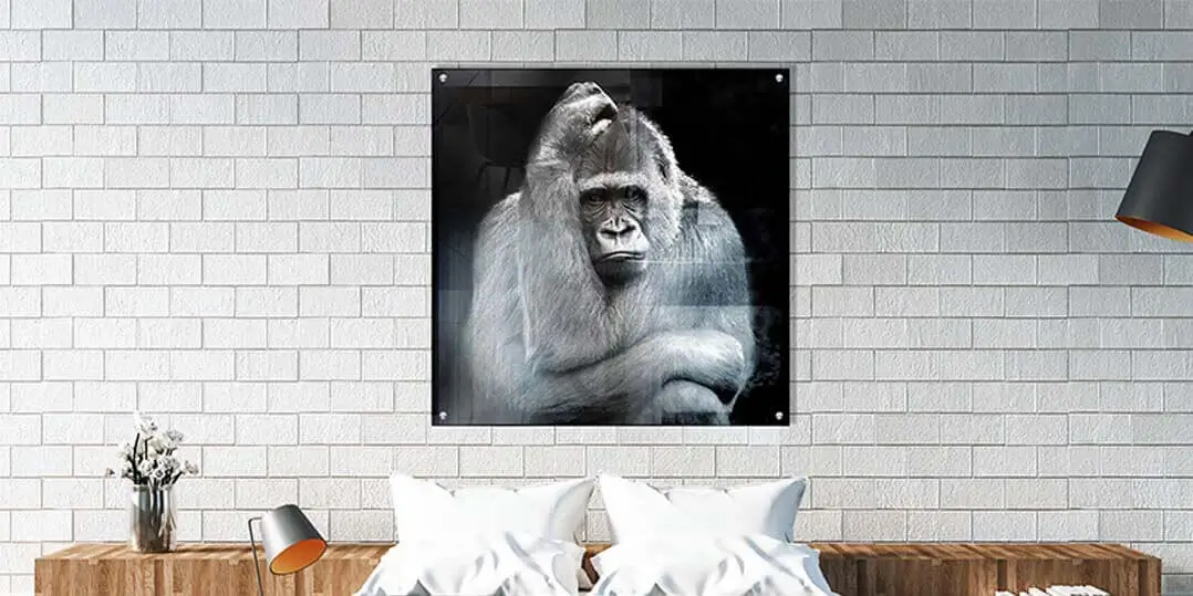 Wanddecoratie met RVS afstandhouders met gaatjes
