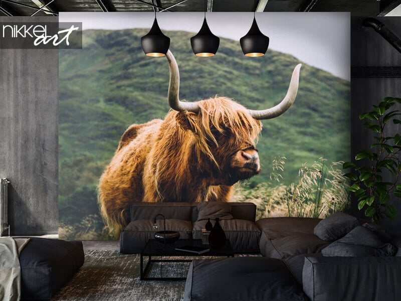 Schwarz-weißes Schottisches Hochlandrind Fototapete in einem modernen Wohnzimmer