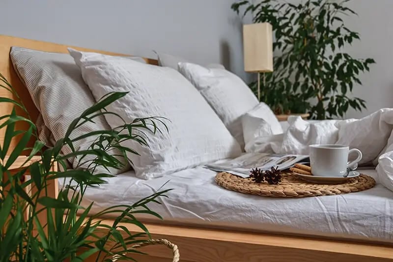 Pflanzen im Schlafzimmer für eine beruhigende Atmosphäre