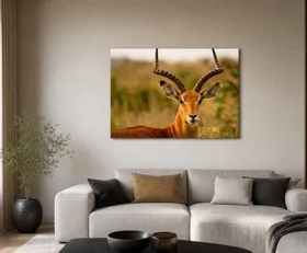 Acrylglasbilder Antilope