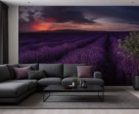 Fototapete Aubergine