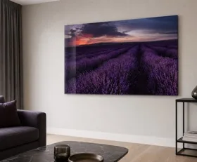 Acrylglasbilder Aubergine