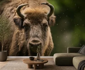 Fototapete Bison