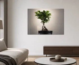 Acrylglasbilder Bonsai