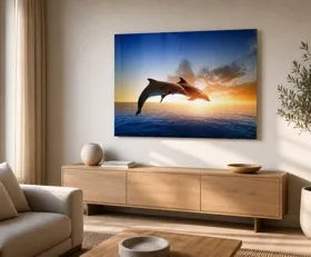Acrylglasbilder Delfin