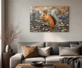 Acrylglasbilder Eichhörnchen