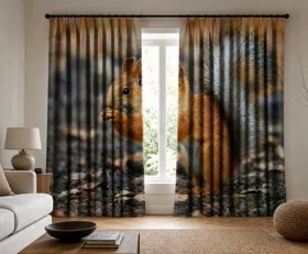 Gardinen Eichhörnchen