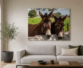 Acrylglasbilder Esel