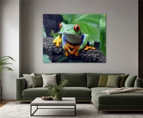 Acrylglasbilder Frosch