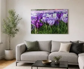 Acrylglasbilder Frühling