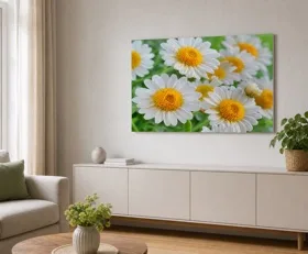 Acrylglasbilder Gänseblümchen
