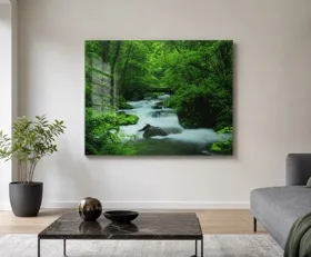 Acrylglasbilder Grün