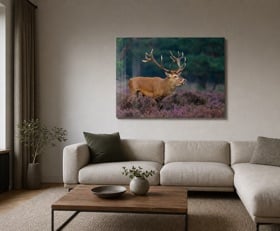 Acrylglasbilder Hirsch