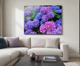 Acrylglasbilder Hortensie