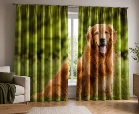 Gardinen Hund