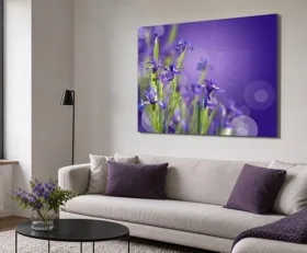 Acrylglasbilder Iris