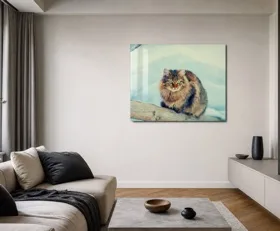 Acrylglasbilder Katze