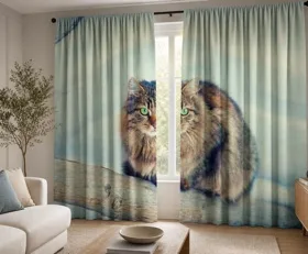 Gardinen Katze