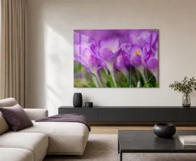 Acrylglasbilder Krokusse