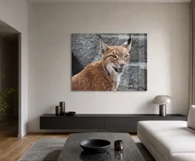 Acrylglasbilder Luchs