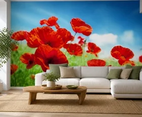 Fototapete Mohnblumen