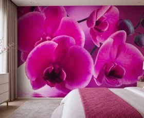 Fototapete Orchidee
