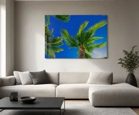 Acrylglasbilder Palme