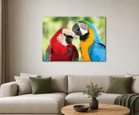 Acrylglasbilder Papagei