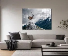 Acrylglasbilder Reh