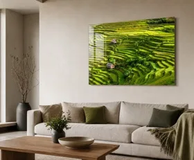 Acrylglasbilder Reisfelder