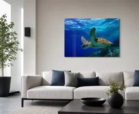 Acrylglasbilder Schildkröte