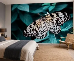Fototapete Schmetterling