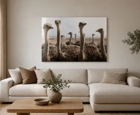 Acrylglasbilder Strauß
