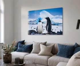Acrylglasbilder Südpolargebiet