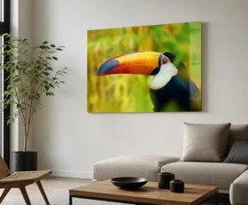 Acrylglasbilder Tukan