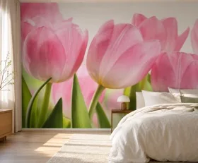 Fototapete Tulpe