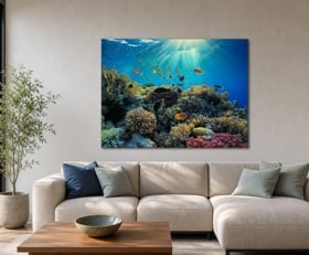 Acrylglasbilder Unterwasser