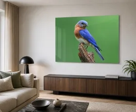 Acrylglasbilder Vögel