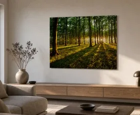 Acrylglasbilder Wald
