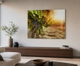 Acrylglasbilder Weingarten