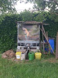 Gartenposter