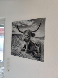 Glasbilder