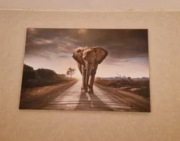 Leinwandbilder Wandernder Elefant in afrikanischer Steppe