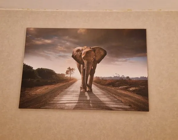 Leinwandbild Leinwandbilder Wandernder Elefant in afrikanischer Steppe — Inspiration unserer Kunden