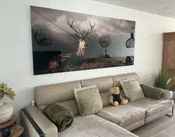 Acrylglasbilder Hirsch im goldenen Sonnenlicht des Waldes