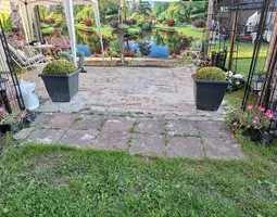 Gartenposter Ein üppig grüner Garten mit lebhaften Blumen und Bäumen rund um einen ruhigen Teich