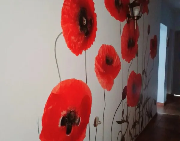 Fototapete Fototapete Rote Mohnblumen auf weißem Hintergrund — Inspiration unserer Kunden