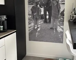 Fototapete Zwei Personen mit Elefant