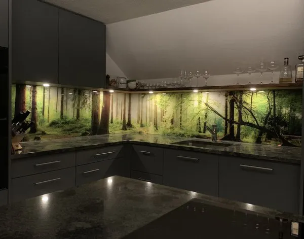 Küchenrückwand Küchenrückwand Plexiglas Frühlingswald mit Sonnenlicht zwischen den Bäumen — Inspiration unserer Kunden